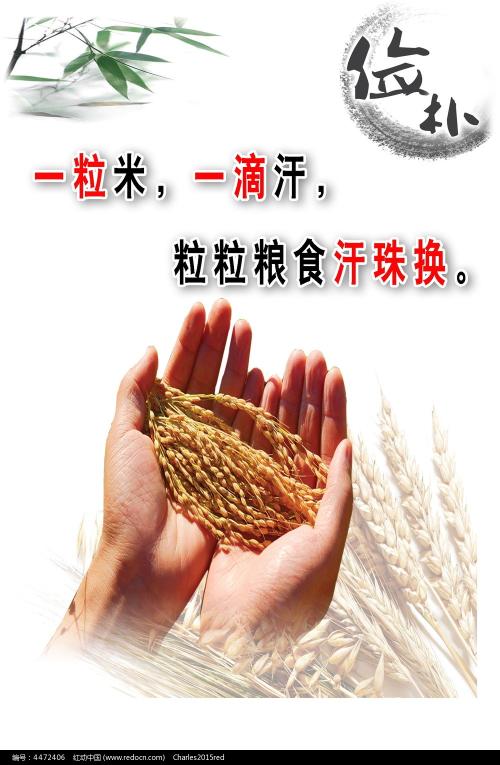 学位证淘宝